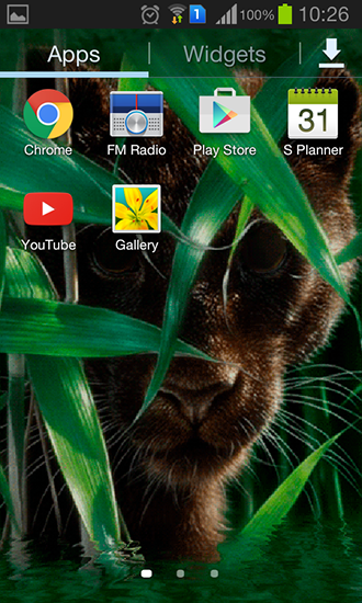 Fondos de pantalla animados a Forest panther para Android. Descarga gratuita fondos de pantalla animados Pantera del bosque .