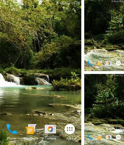 Forest stream - бесплатно скачать живые обои на Андроид телефон или планшет.