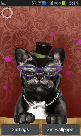 Download livewallpaper French bulldog for Android. Get full version of Android apk livewallpaper French bulldog for tablet and phone.