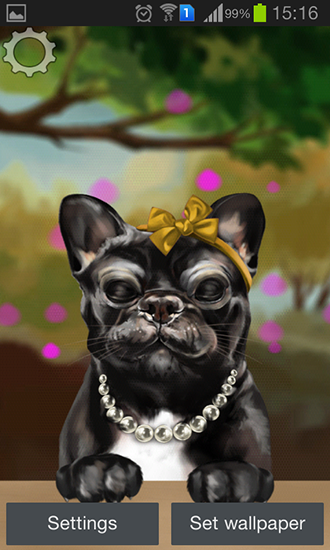 Screenshots of the French bulldog for Android tablet, phone.