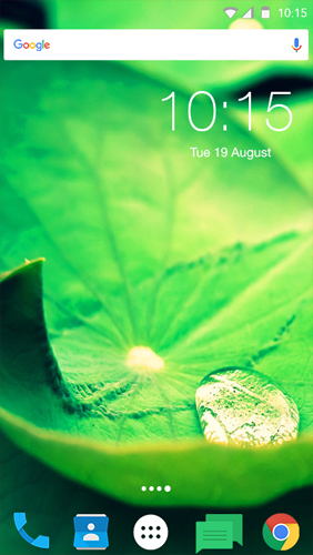 Fresh Leaves - безкоштовно скачати живі шпалери на Андроїд телефон або планшет.