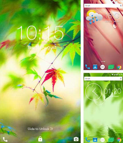 Kostenloses Android-Live Wallpaper Frische Blätter. Vollversion der Android-apk-App Fresh Leaves für Tablets und Telefone.
