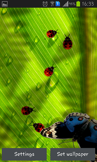 Friendly bugs für Android spielen. Live Wallpaper Freundliche Käfer kostenloser Download.