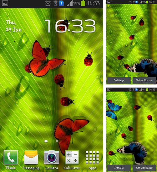 Kostenloses Android-Live Wallpaper Freundliche Käfer. Vollversion der Android-apk-App Friendly bugs für Tablets und Telefone.