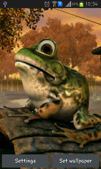 Fondos de pantalla animados a Frog 3D para Android. Descarga gratuita fondos de pantalla animados Rana 3D.