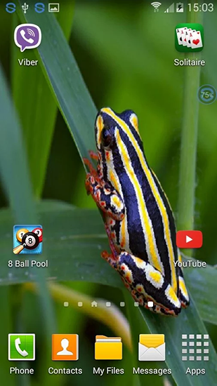 Frogs: shake and change für Android spielen. Live Wallpaper Frösche: Schüttel und veränder kostenloser Download.