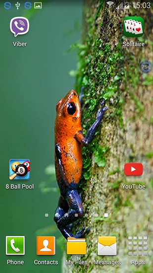 Screenshots of the Frogs: shake and change for Android tablet, phone.