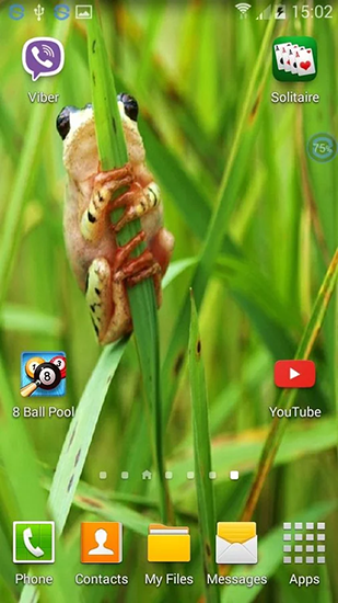 Capturas de pantalla de Frogs: shake and change para tabletas y teléfonos Android.