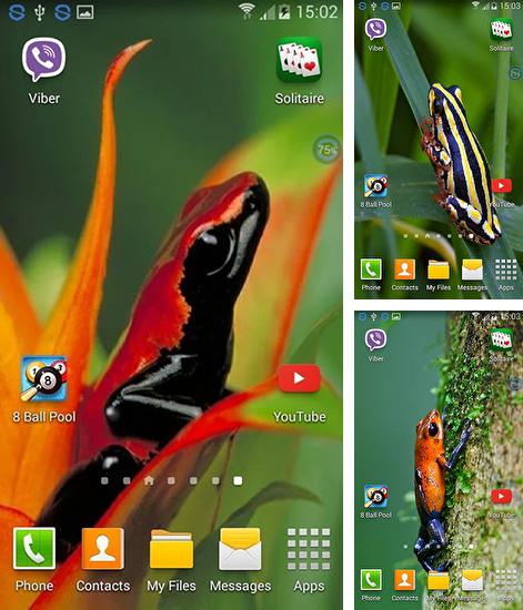 Zusätzlich zum Live Wallpaper Segelschiff für Android Mobiltelefone und Tablets, können Sie auch Frogs: shake and change, Frösche: Schüttel und veränder kostenlos herunterladen.