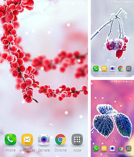 Frozen beauty: Winter tale - бесплатно скачать живые обои на Андроид телефон или планшет.