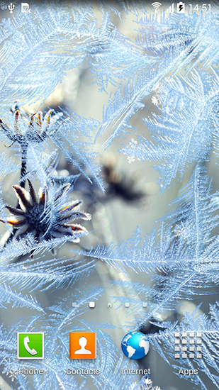 Fondos de pantalla animados a Frozen flowers para Android. Descarga gratuita fondos de pantalla animados Flores de invierno .