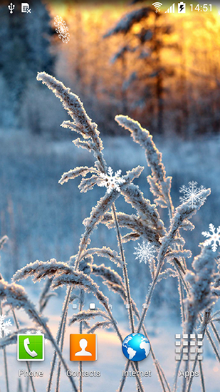 Screenshots von Frozen flowers für Android-Tablet, Smartphone.