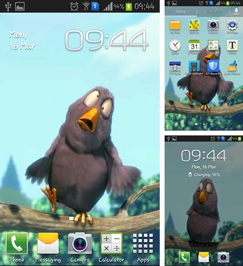 Дополнительно к живым обоям на Андроид телефоны и планшеты Нимфа, вы можете также бесплатно скачать заставку Funny bird.