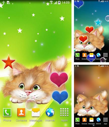 Kostenloses Android-Live Wallpaper Lustige Katze. Vollversion der Android-apk-App Funny cat für Tablets und Telefone.
