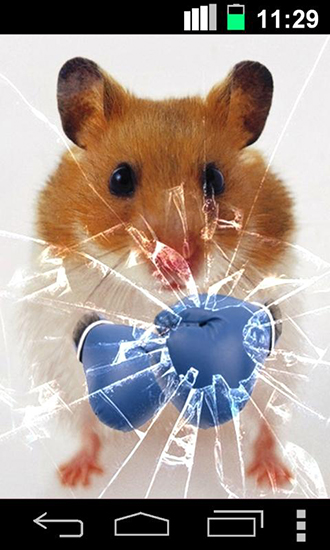 Kostenloses Android-Live Wallpaper Lustiger Hamster: Zersplitterter Bildschirm. Vollversion der Android-apk-App Funny hamster: Cracked screen für Tablets und Telefone.