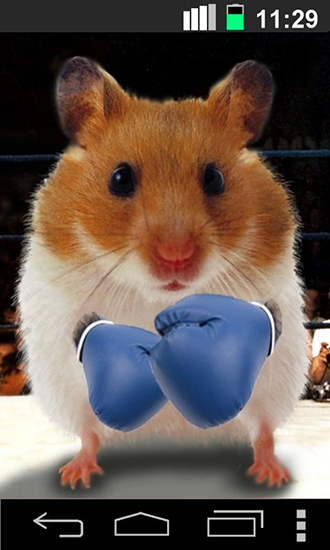 Download Funny hamster: Cracked screen - livewallpaper for Android. Funny hamster: Cracked screen apk - free download.