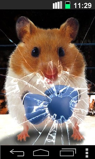 Screenshots do Hamster engraçado: Tela rachada para tablet e celular Android.