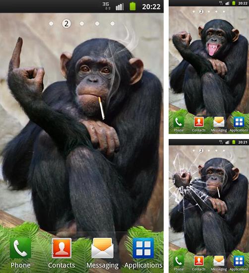 Дополнительно к живым обоям на Андроид телефоны и планшеты Мягкий цвет, вы можете также бесплатно скачать заставку Funny monkey.