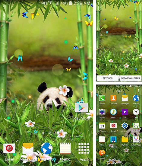 Kostenloses Android-Live Wallpaper Lustiger Panda. Vollversion der Android-apk-App Funny panda für Tablets und Telefone.