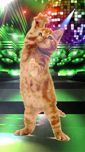 Baixe o papeis de parede animados Funny pets: dancing and singing para Android gratuitamente. Obtenha a versao completa do aplicativo apk para Android Animais de estimação engraçados: Dançando e cantando para tablet e celular.