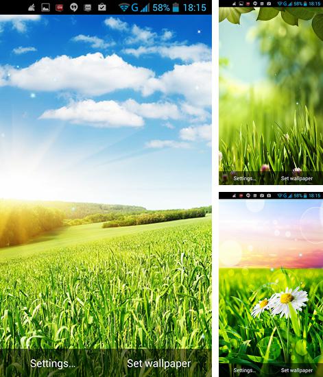 Download live wallpaper G3 grass for Android. Get full version of Android apk livewallpaper G3 grass for tablet and phone.