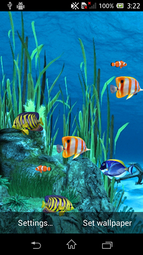 Papeis de parede animados Aquário de galáxia para Android. Papeis de parede animados Galaxy aquarium para download gratuito.