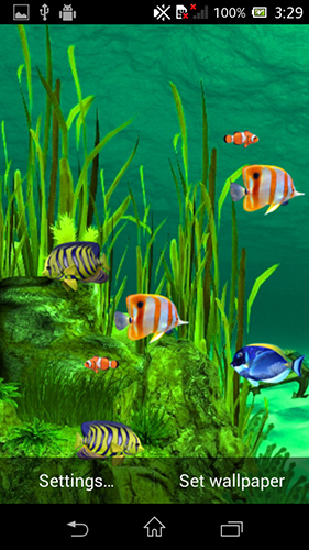 Screenshots of the Galaxy aquarium for Android tablet, phone.