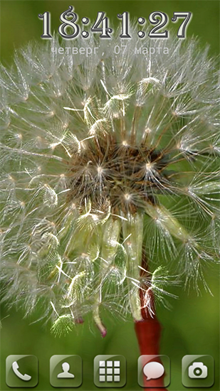 Download livewallpaper Galaxy dandelion 3.0 for Android. Get full version of Android apk livewallpaper Galaxy dandelion 3.0 for tablet and phone.