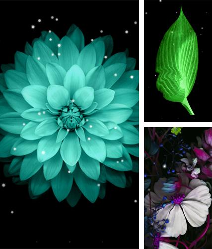 Descarga gratuita fondos de pantalla animados Flores de la galaxia para Android. Consigue la versión completa de la aplicación apk de Galaxy flowers para tabletas y teléfonos Android.