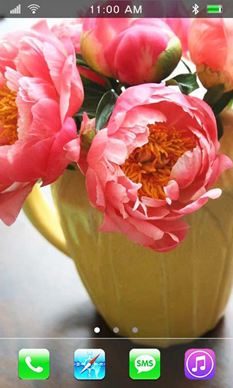 Download Garden peonies - livewallpaper for Android. Garden peonies apk - free download.