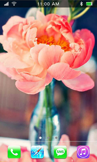 Screenshots of the Garden peonies for Android tablet, phone.