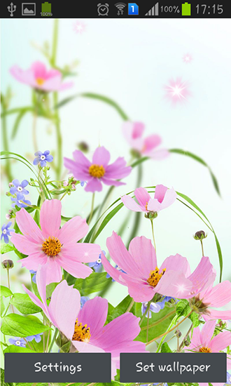 Écrans de Gentle flowers pour tablette et téléphone Android.
