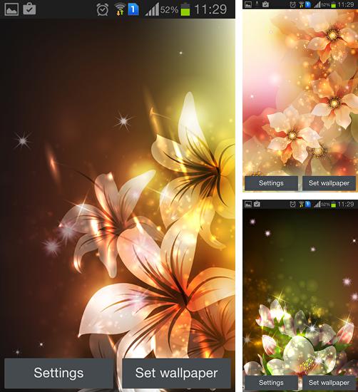 Alem do papel de parede animado Números vivos 2 para telefones e tablets Android, voce tambem pode baixar Flores brilhantes, Glowing flowers by Creative factory wallpapers gratuitamente.