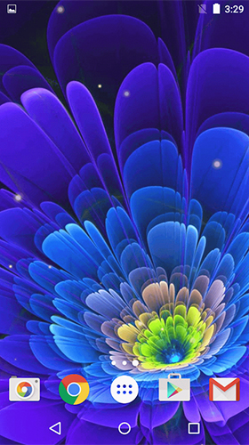 Glowing flowers by Free Wallpapers and Backgrounds