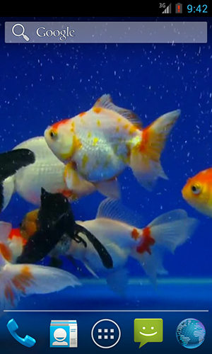 Gold fish - скачати безкоштовно живі шпалери для Андроїд на робочий стіл.