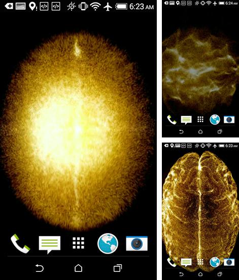 Додатково до живої шпалери Гіроскопічний космос для Android телефонів та планшетів, Ви можете також безкоштовно скачати Golden brain HD.
