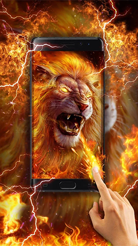 Golden lion - скачать бесплатно живые обои для Андроид на рабочий стол.