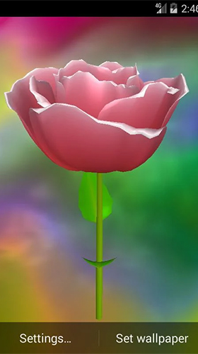Golden rose - бесплатно скачать живые обои на Андроид телефон или планшет.