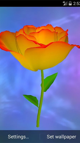 Screenshots do Rosa de ouro para tablet e celular Android.