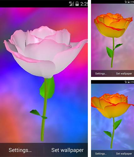 Golden rose - бесплатно скачать живые обои на Андроид телефон или планшет.