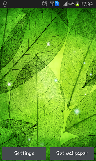 Green leaves - бесплатно скачать живые обои на Андроид телефон или планшет.