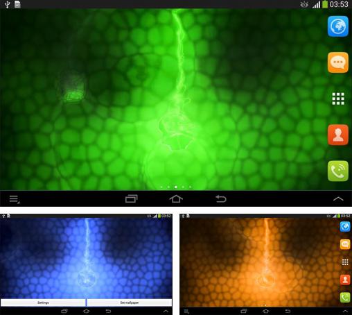 Kostenloses Android-Live Wallpaper Grünes Neon. Vollversion der Android-apk-App Green neon für Tablets und Telefone.