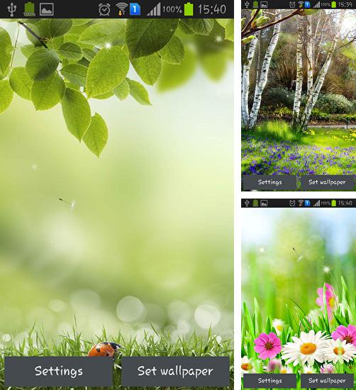 Download live wallpaper Green spring for Android. Get full version of Android apk livewallpaper Green spring for tablet and phone.