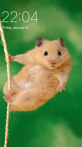 Hamster - бесплатно скачать живые обои на Андроид телефон или планшет.