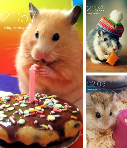 Hamster - бесплатно скачать живые обои на Андроид телефон или планшет.