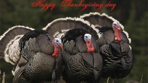 Download Happy Thanksgiving - livewallpaper for Android. Happy Thanksgiving apk - free download.