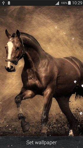 Horses by Dream World HD Live Wallpapers für Android spielen. Live Wallpaper Pferde kostenloser Download.