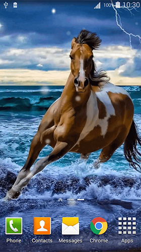 Screenshots von Horses by Dream World HD Live Wallpapers für Android-Tablet, Smartphone.