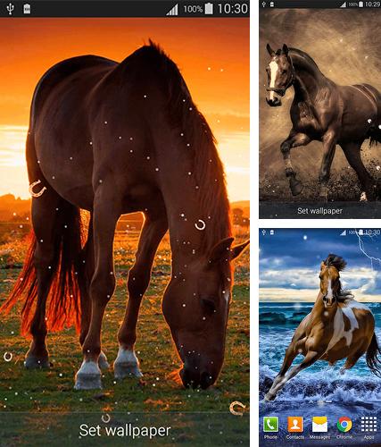 Horses by Dream World HD Live Wallpapers - бесплатно скачать живые обои на Андроид телефон или планшет.