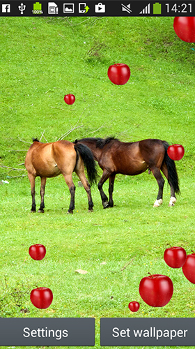 Horses by Latest Live Wallpapers - безкоштовно скачати живі шпалери на Андроїд телефон або планшет.